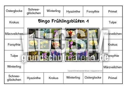 Bingo-Frühlingsblüten-1.pdf
